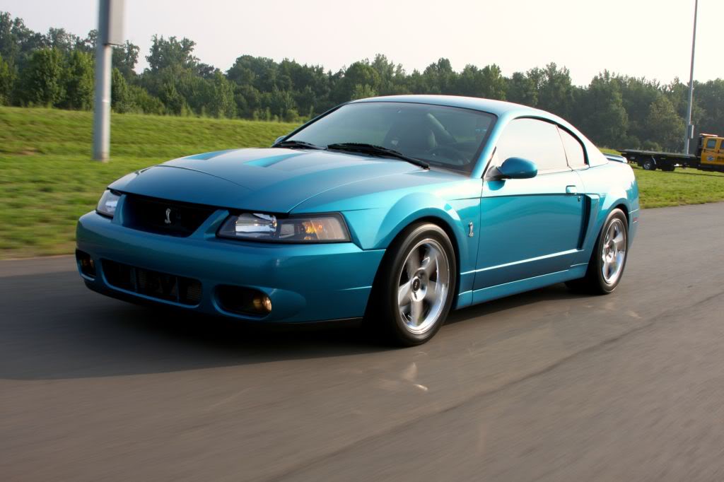 5.jpg (1024x682; 72223 bytes)