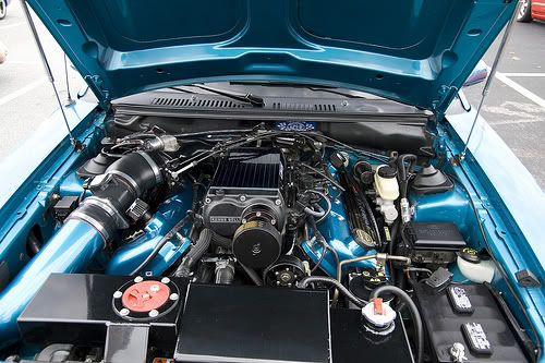 9.jpg (500x333; 63178 bytes)